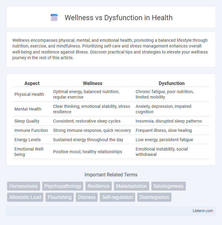 Dysfunction vs Wellness in Health - What is The Difference?
