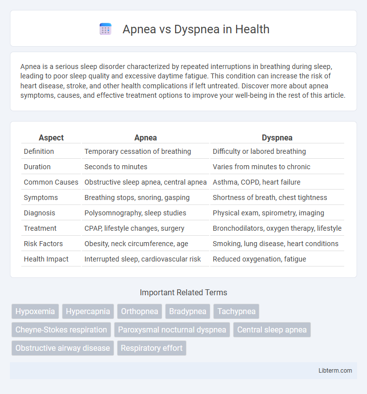 Dyspnea vs Apnea in Health - What is The Difference?