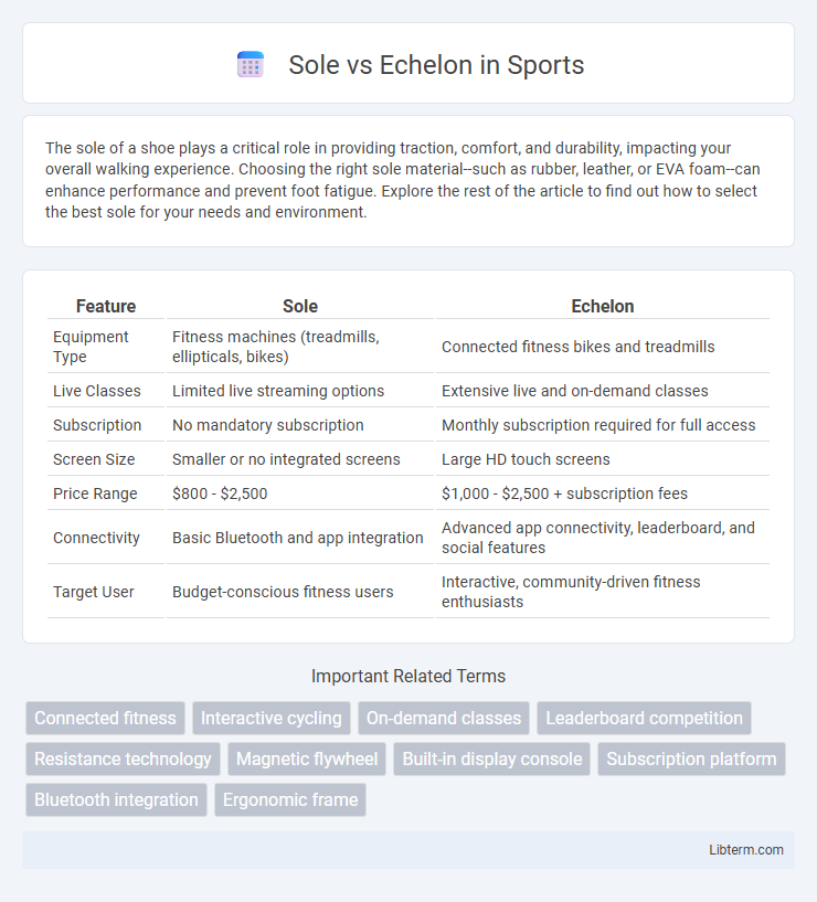 Echelon vs Sole in Sports - What is The Difference?