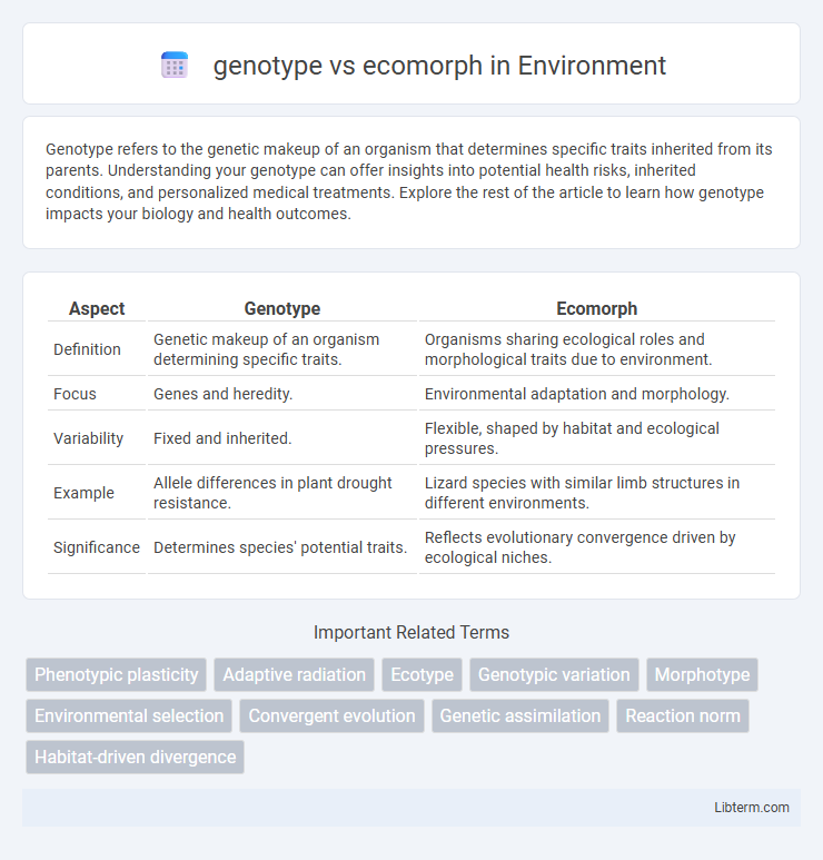 ecomorph vs genotype in Environment - What is The Difference?