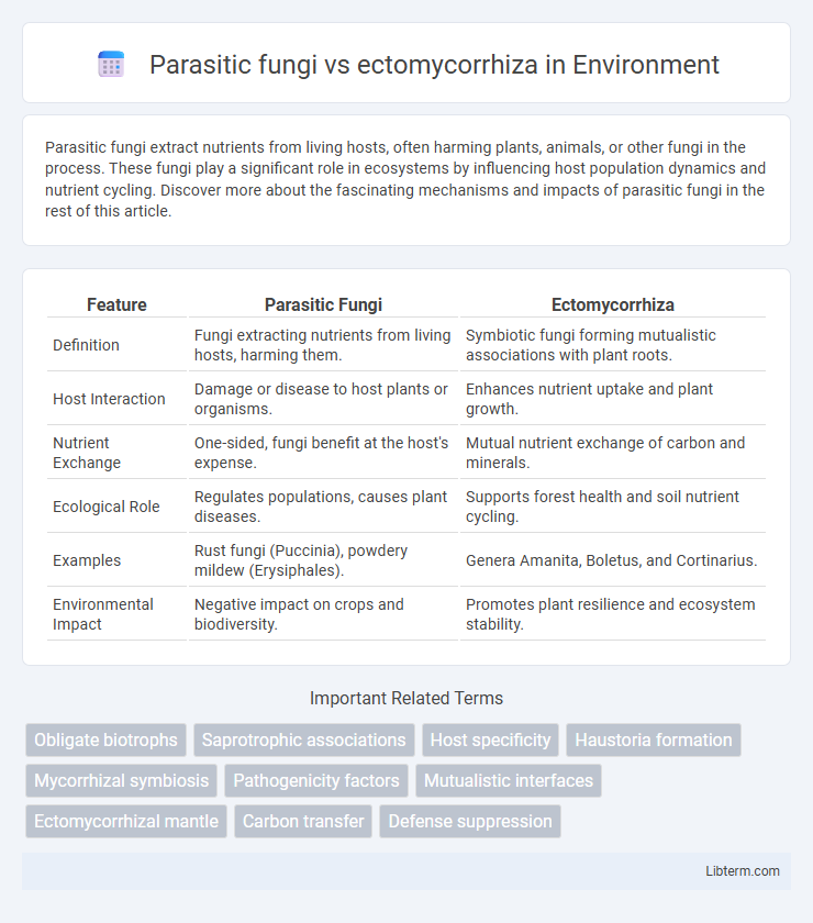 ectomycorrhiza vs Parasitic fungi in Environment - What is The Difference?