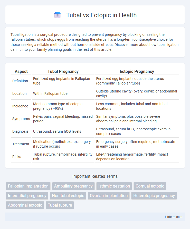 Ectopic vs Tubal in Health - What is The Difference?