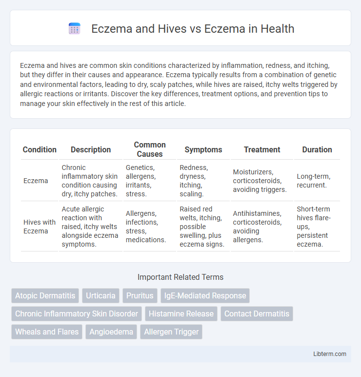 Eczema vs Eczema and Hives in Health - What is The Difference?