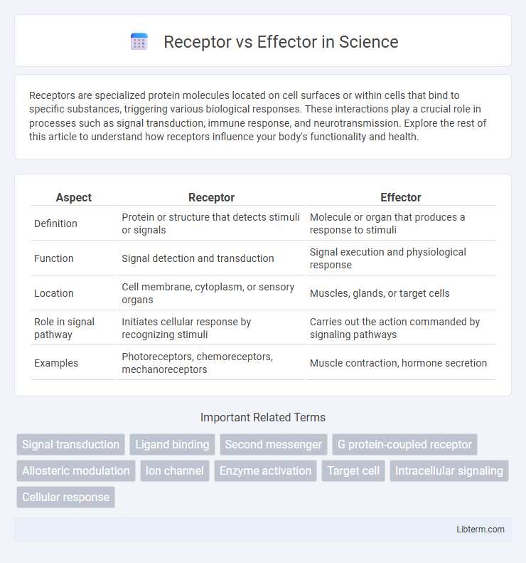 Effector vs Receptor in Science - What is The Difference?