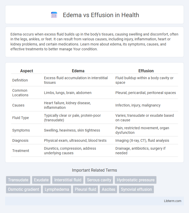 Effusion vs Edema in Health - What is The Difference?