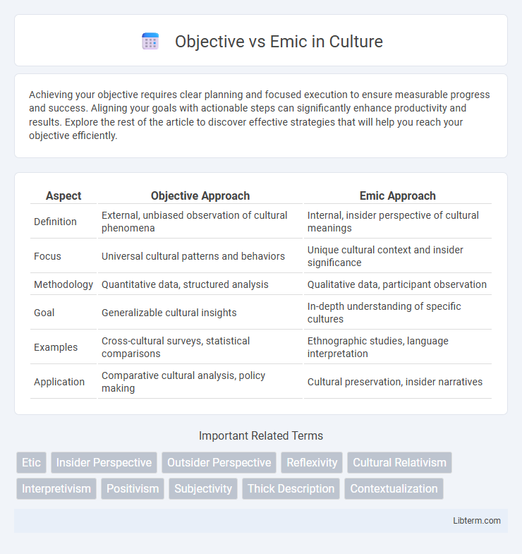 Emic vs Objective in Culture - What is The Difference?