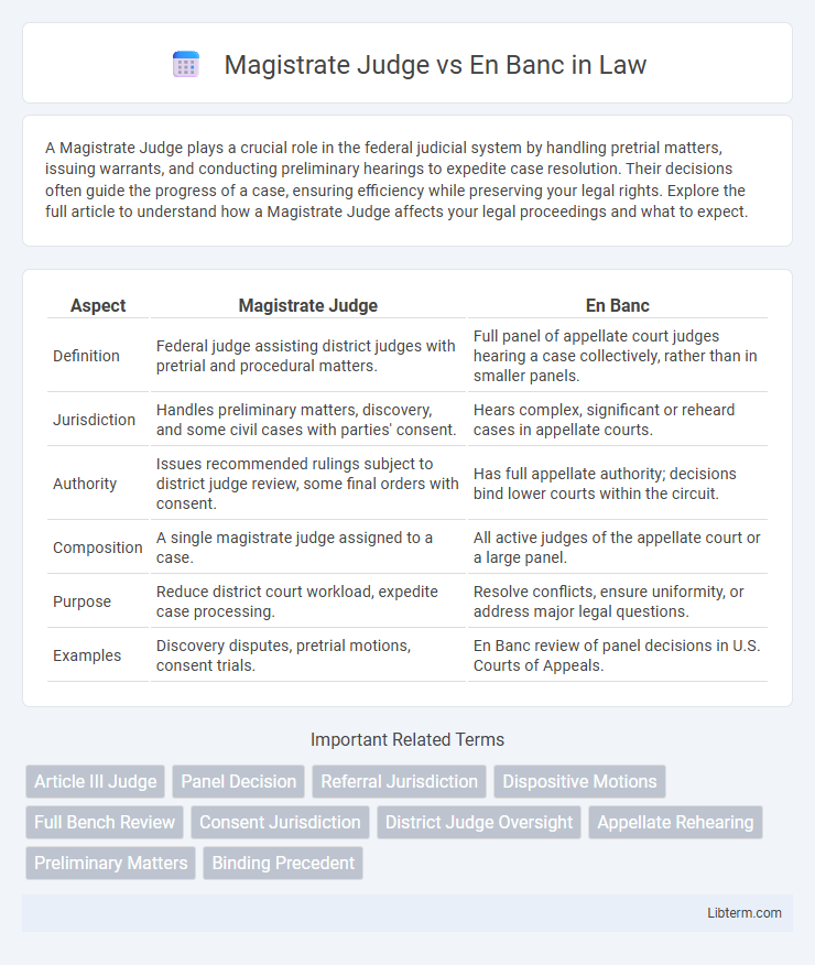 En Banc vs Magistrate Judge in Law - What is The Difference?