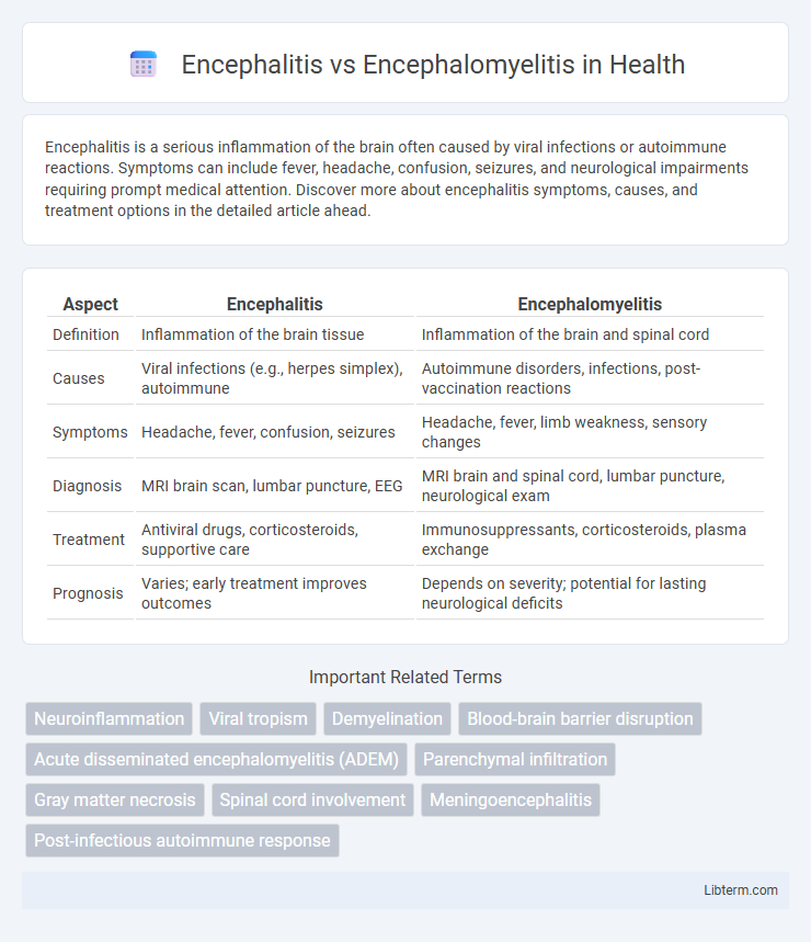 Encephalomyelitis vs Encephalitis in Health - What is The Difference?