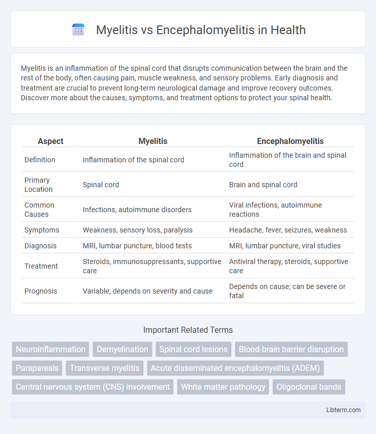 Encephalomyelitis vs Myelitis in Health - What is The Difference?