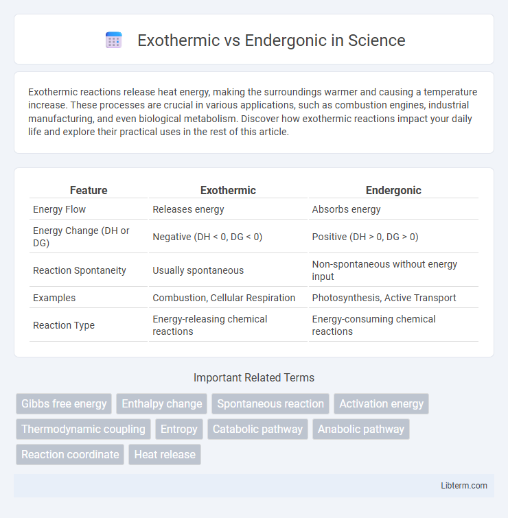 Endergonic vs Exothermic in Science - What is The Difference?