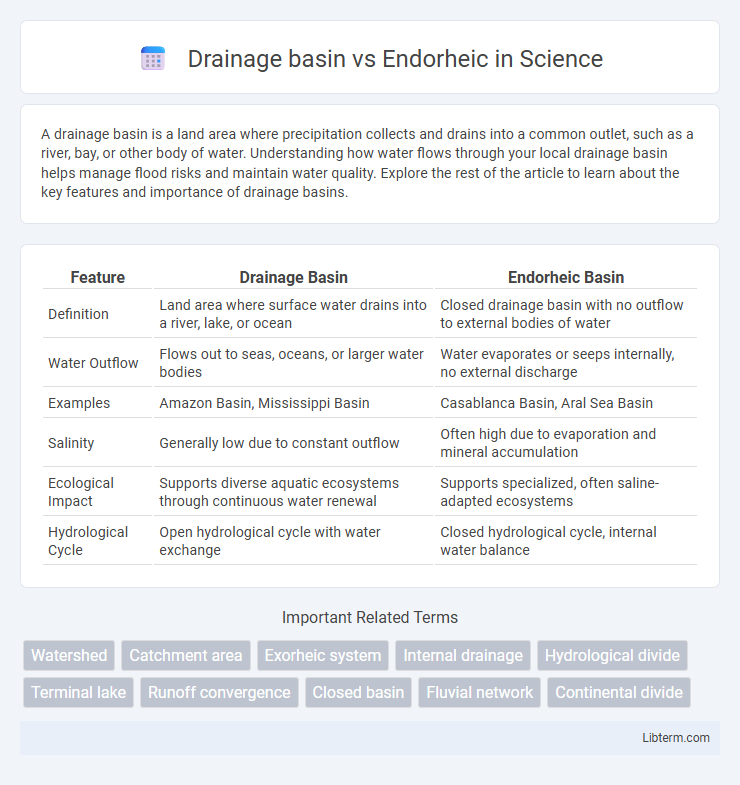 Endorheic vs Drainage basin in Science - What is The Difference?