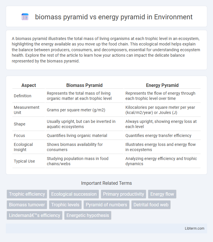 energy pyramid vs biomass pyramid in Environment - What is The Difference?