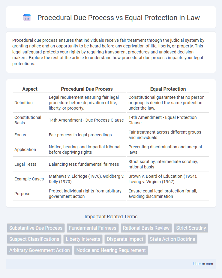 Equal Protection vs Procedural Due Process in Law - What is The Difference?