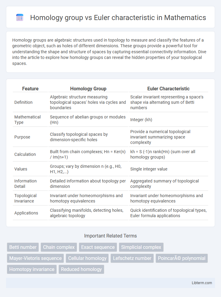 Euler characteristic vs Homology group in Mathematics - What is The Difference?