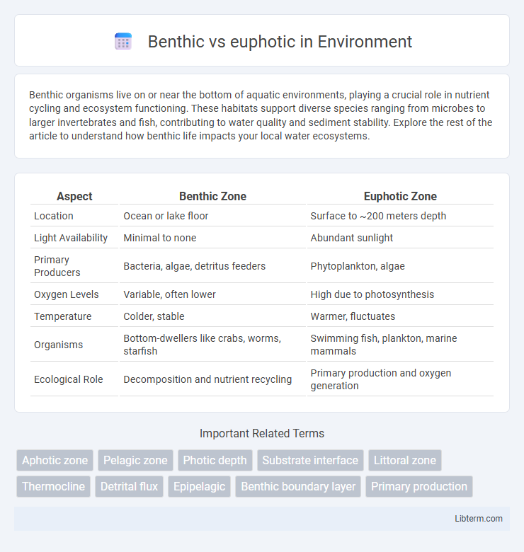 euphotic vs Benthic in Environment - What is The Difference?