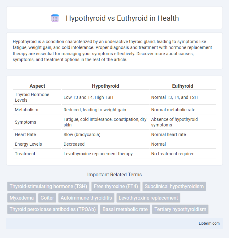 Euthyroid vs Hypothyroid in Health - What is The Difference?