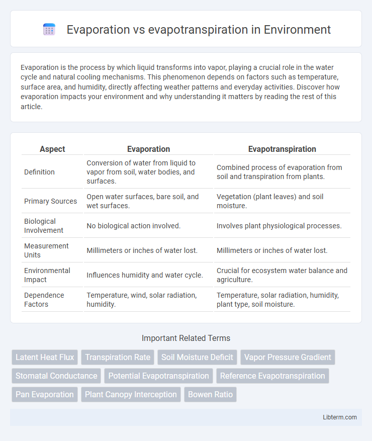 evapotranspiration vs Evaporation in Environment - What is The Difference?