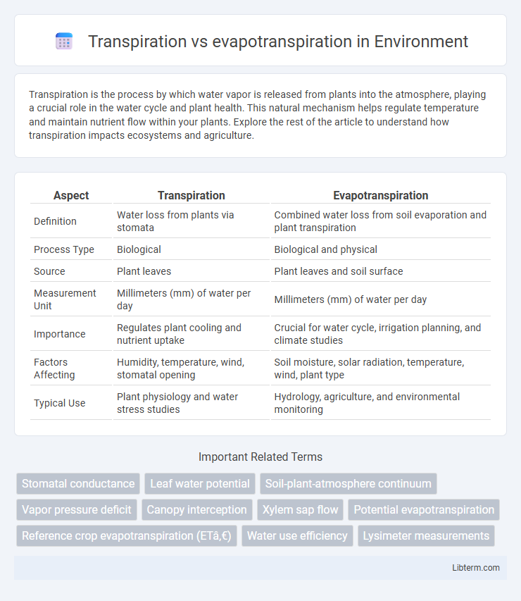 evapotranspiration vs Transpiration in Environment - What is The Difference?