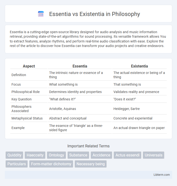 Existentia vs Essentia in Philosophy - What is The Difference?