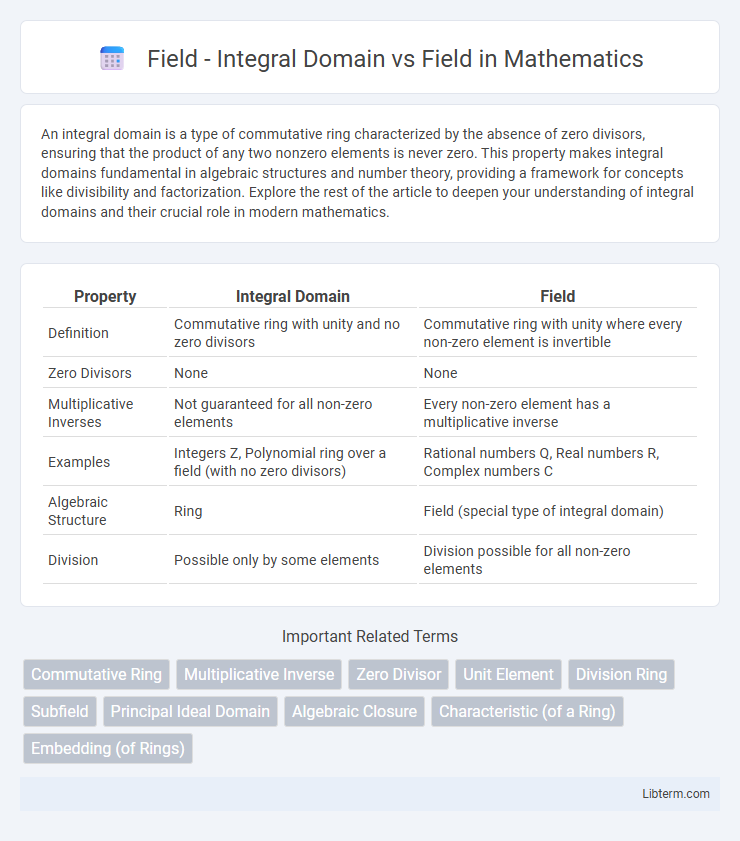 Field vs Field - Integral Domain in Mathematics - What is The Difference?