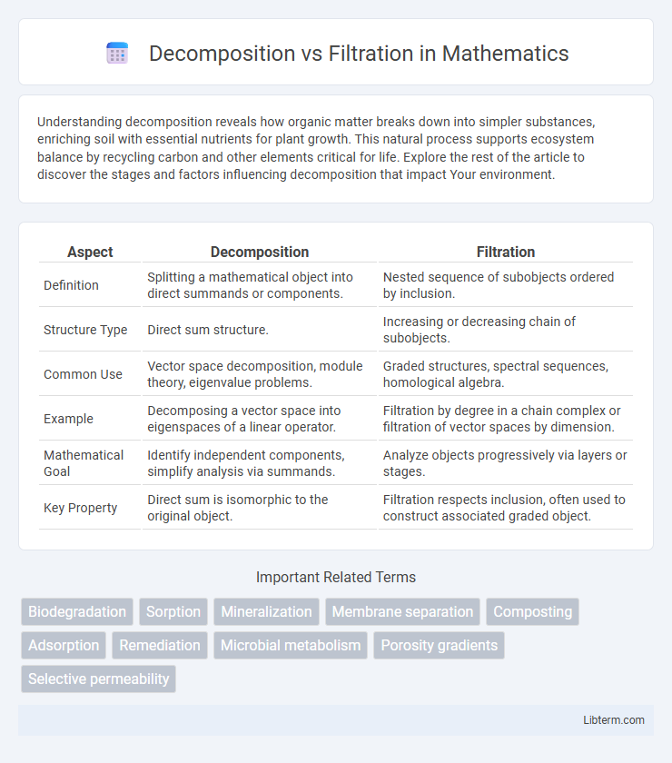 Filtration vs Decomposition in Mathematics - What is The Difference?