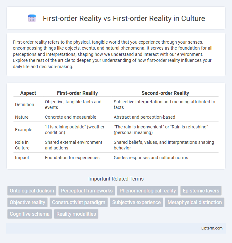 First-order Reality vs First-order Reality in Culture - What is The Difference?