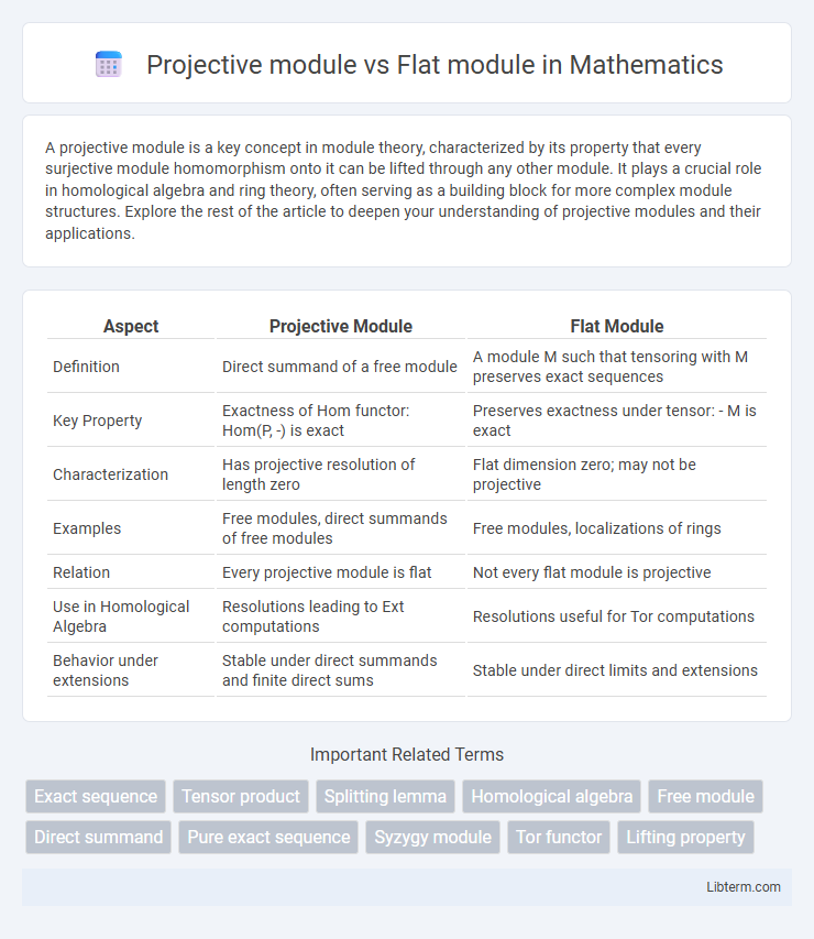 Flat module vs Projective module in Mathematics - What is The Difference?