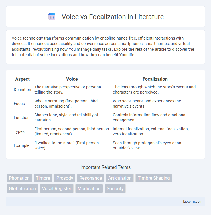 Focalization vs Voice in Literature - What is The Difference?