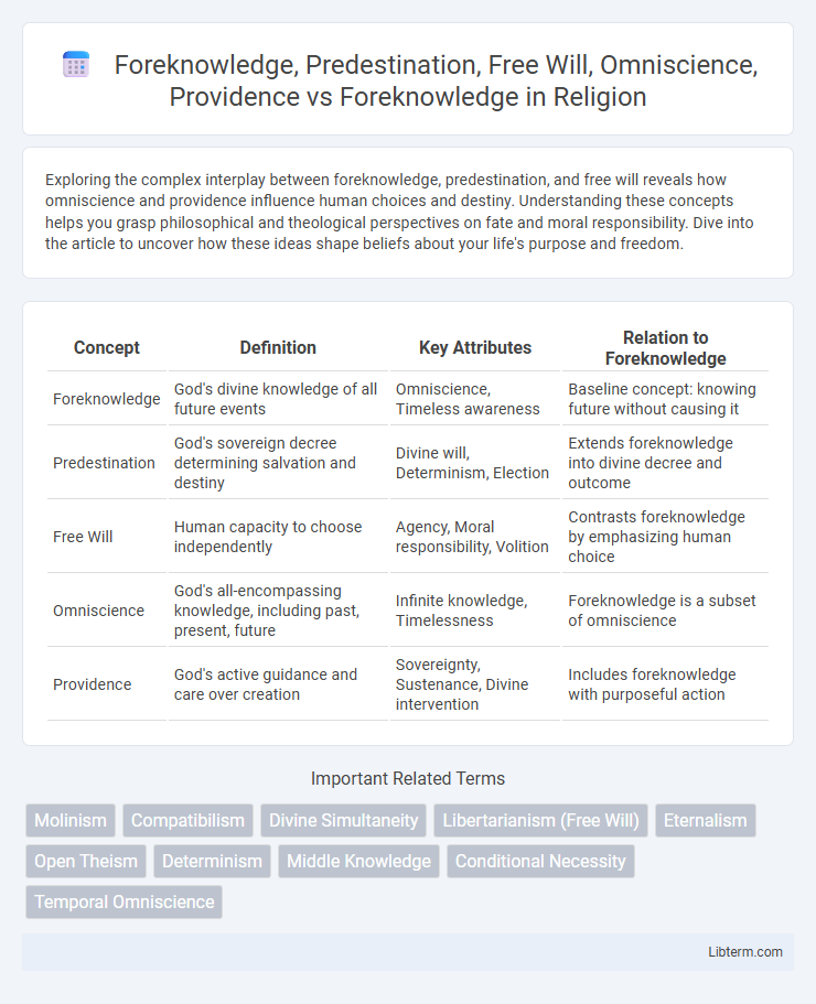 Foreknowledge vs Foreknowledge, Predestination, Free Will, Omniscience, Providence in Religion - What is The Difference?
