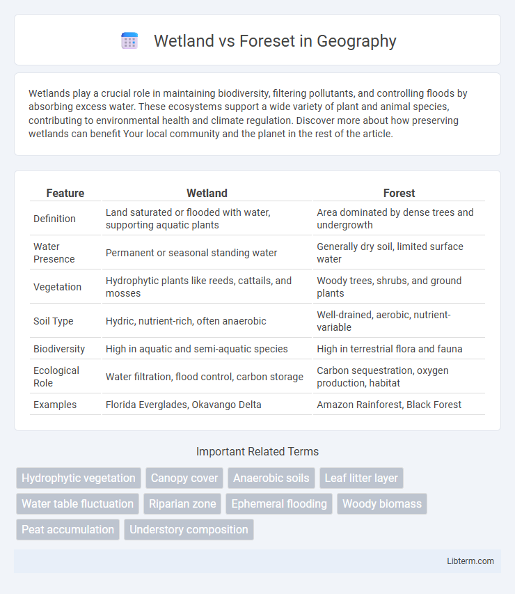 Foreset vs Wetland in Geography - What is The Difference?