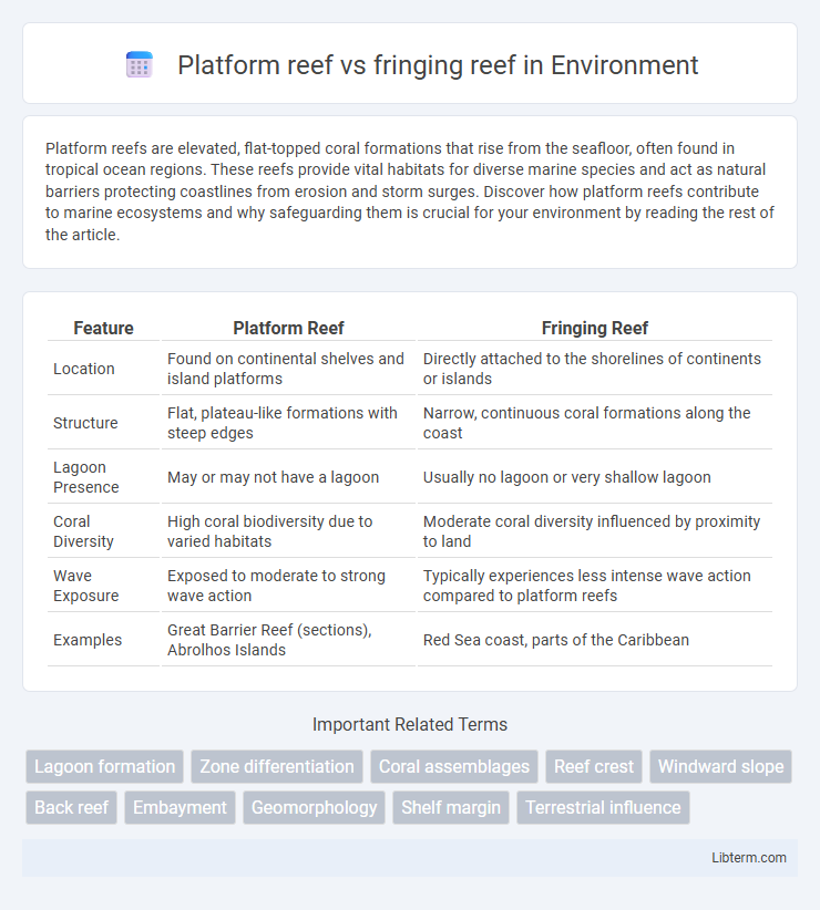 fringing reef vs Platform reef in Environment - What is The Difference?