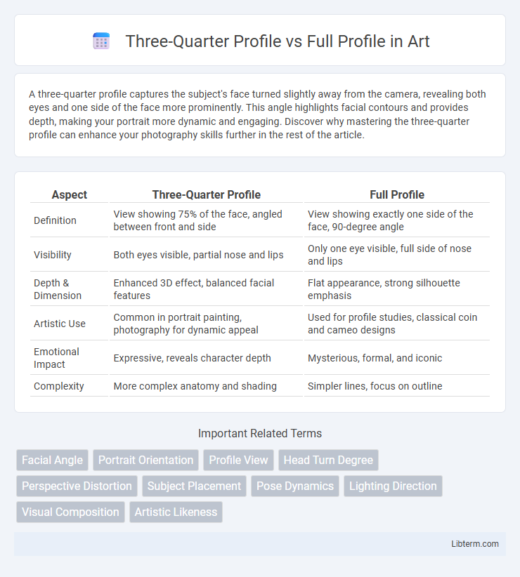 Full Profile vs Three-Quarter Profile in Art - What is The Difference?
