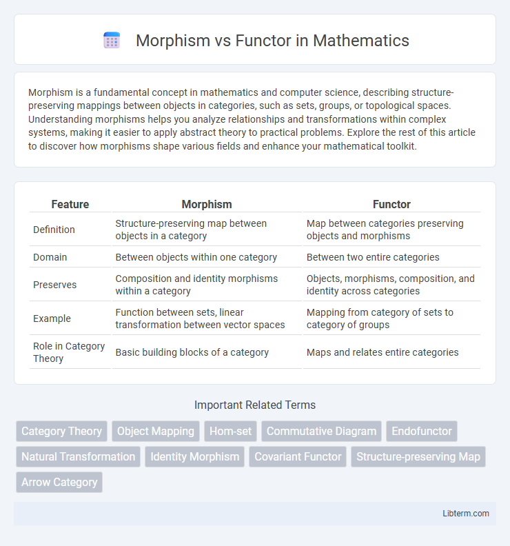 Functor vs Morphism in Mathematics - What is The Difference?