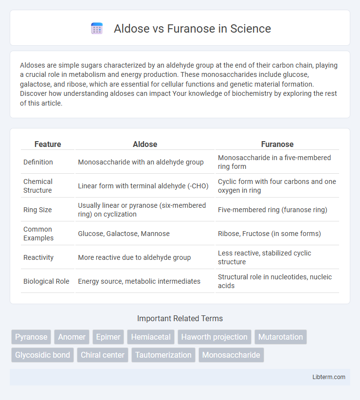 Furanose vs Aldose in Science - What is The Difference?