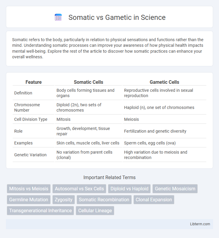 Gametic vs Somatic in Science - What is The Difference?