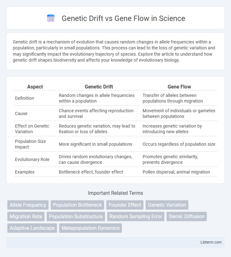 Gene Flow vs Genetic Drift in Science - What is The Difference?