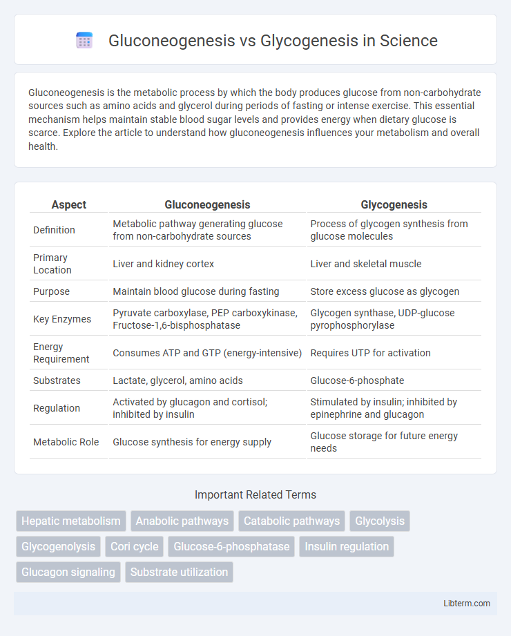 Glycogenesis vs Gluconeogenesis in Science - What is The Difference?