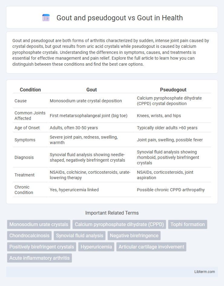 Gout vs Gout and pseudogout in Health - What is The Difference?
