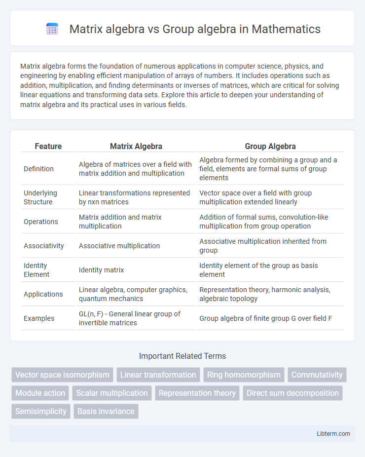 Group algebra vs Matrix algebra in Mathematics - What is The Difference?