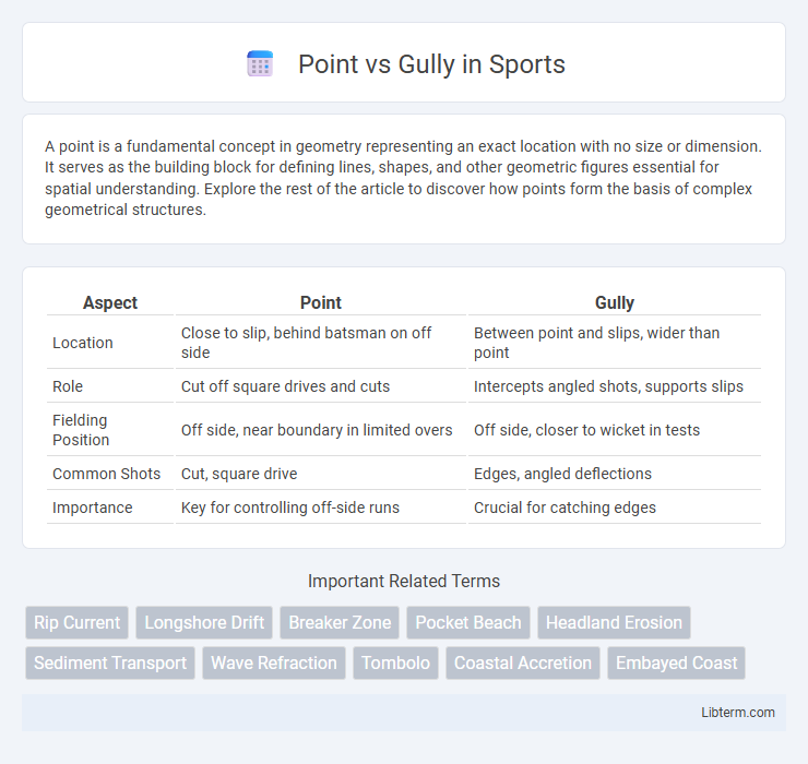 Gully vs Point in Sports - What is The Difference?