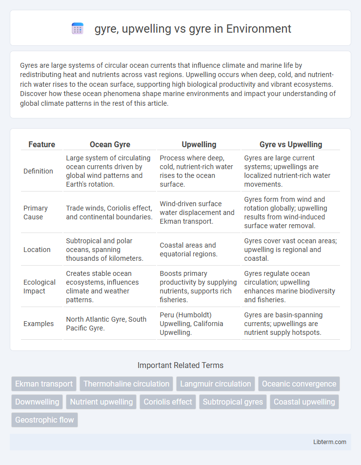 gyre vs gyre, upwelling in Environment - What is The Difference?