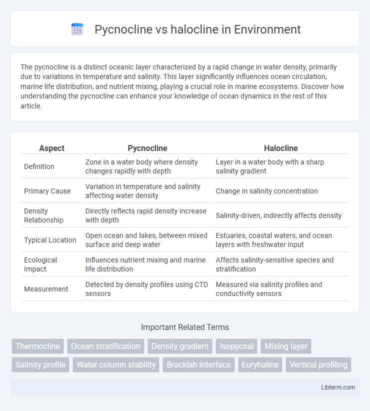halocline vs Pycnocline in Environment - What is The Difference?