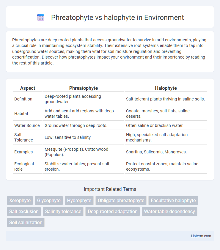 halophyte vs Phreatophyte in Environment - What is The Difference?