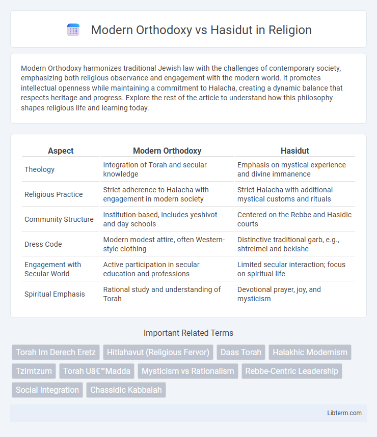 Hasidut vs Modern Orthodoxy in Religion - What is The Difference?