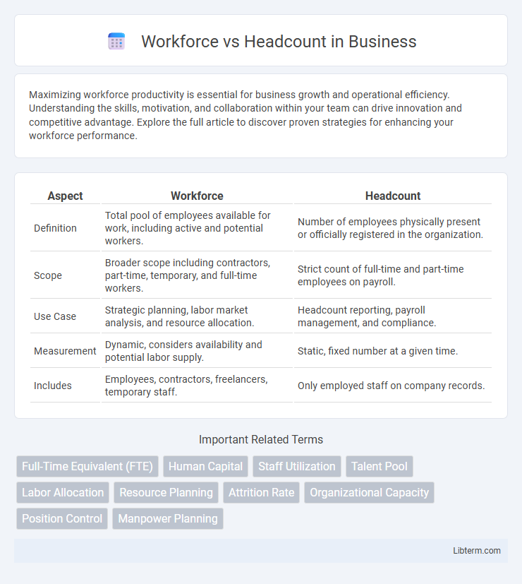 Headcount vs Workforce in Business - What is The Difference?
