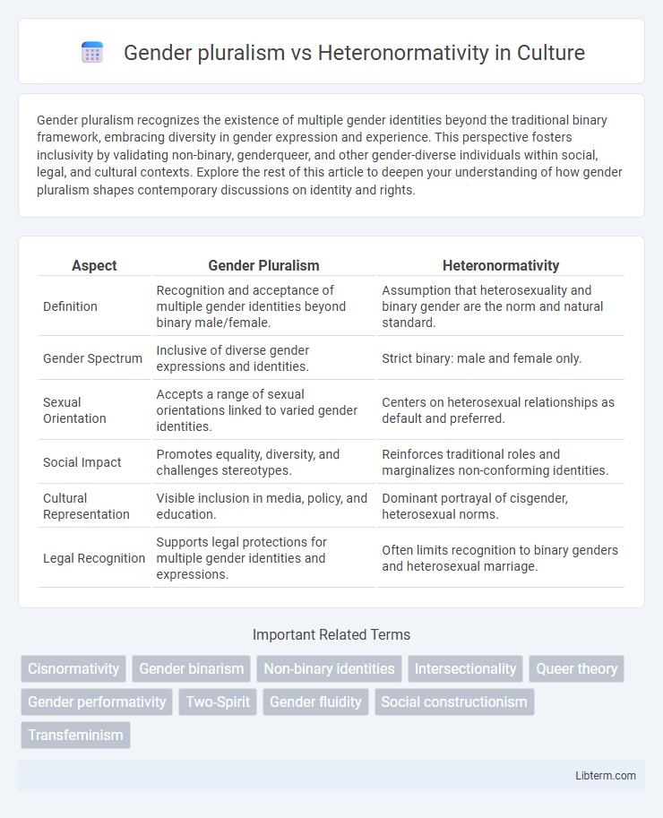 Heteronormativity vs Gender pluralism in Culture - What is The Difference?