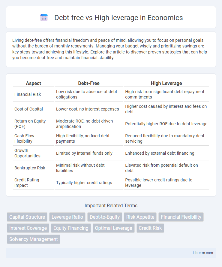 High-leverage vs Debt-free in Economics - What is The Difference?