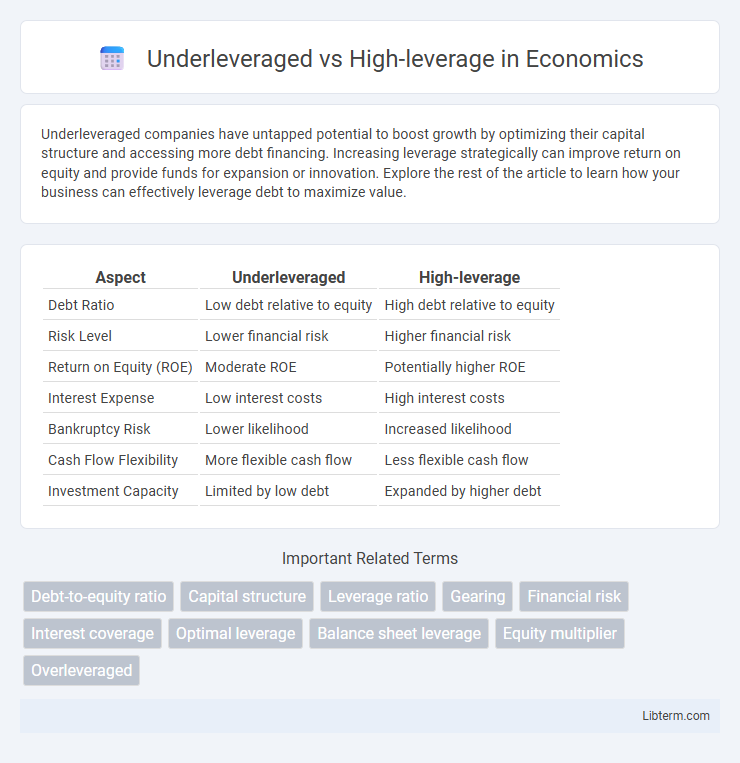 High-leverage vs Underleveraged in Economics - What is The Difference?