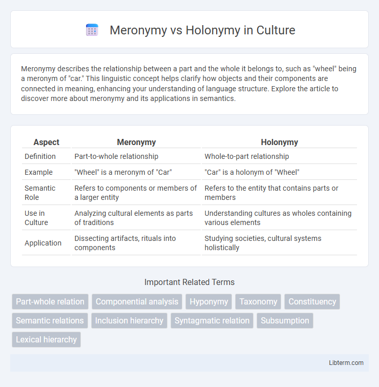 Holonymy vs Meronymy in Culture - What is The Difference?