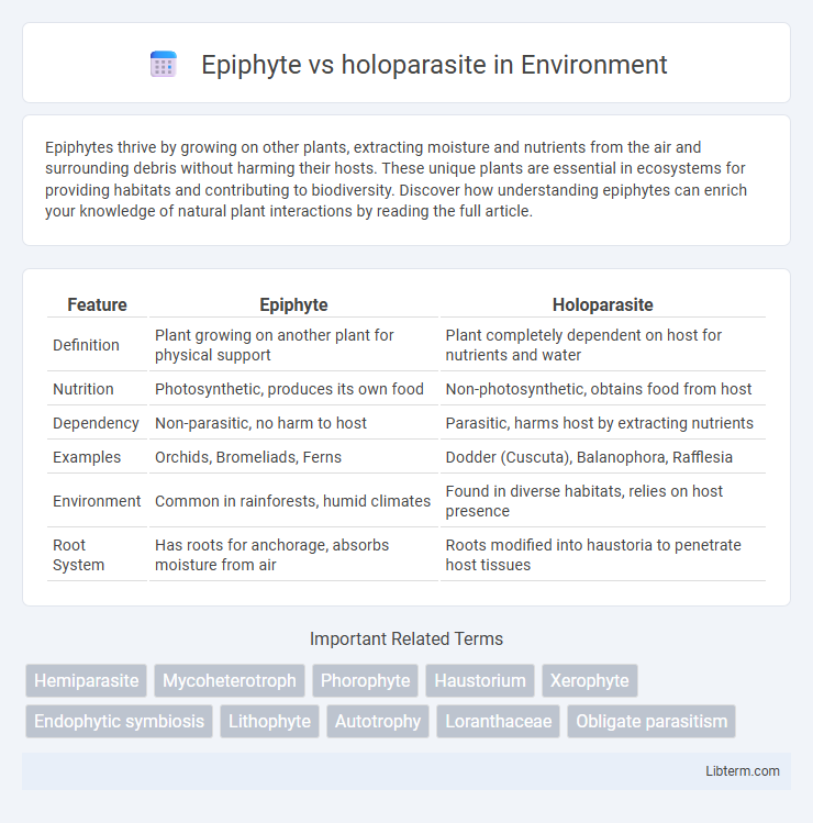 holoparasite vs Epiphyte in Environment - What is The Difference?